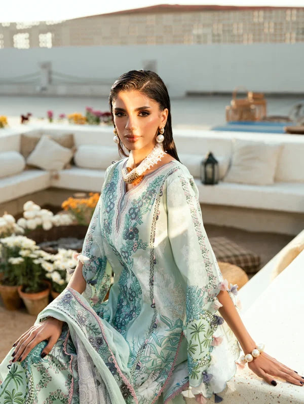 Jade Needle Wonder Lawn 2026 || 26-NW-20944