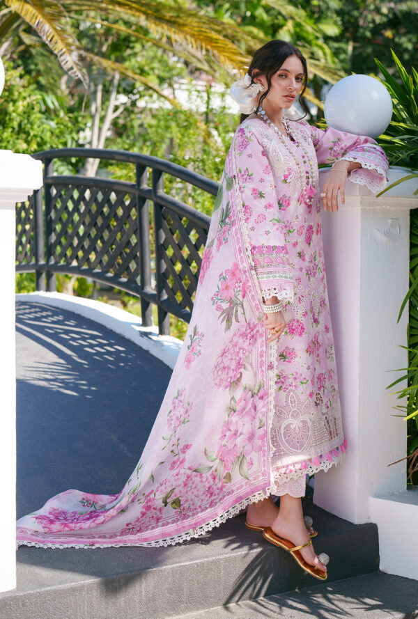 Printed Chikankari 2026 | Rumi | AJR
