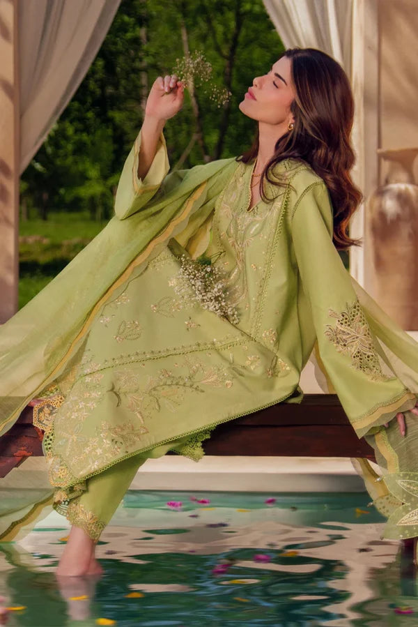 Luxury Eid Collection | 2026 | Nadine | Rang Rasiya
