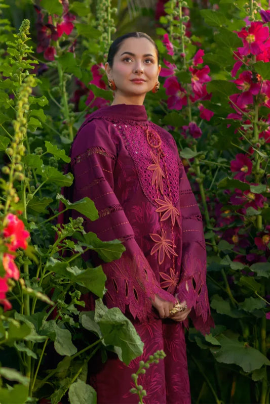 Luxury Eid Collection | 2026 | Ayra | Rang Rasiya