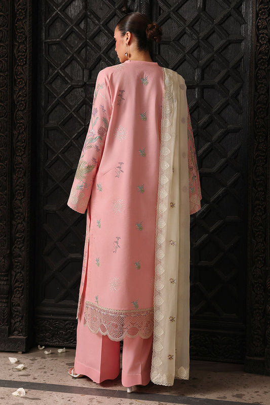 Rosa Essential Lawn | AL-306 | 2026 | Afsanah