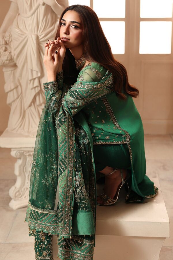 Embroidered Luxury Chiffon DJW6-03 | 2026 | Charizma