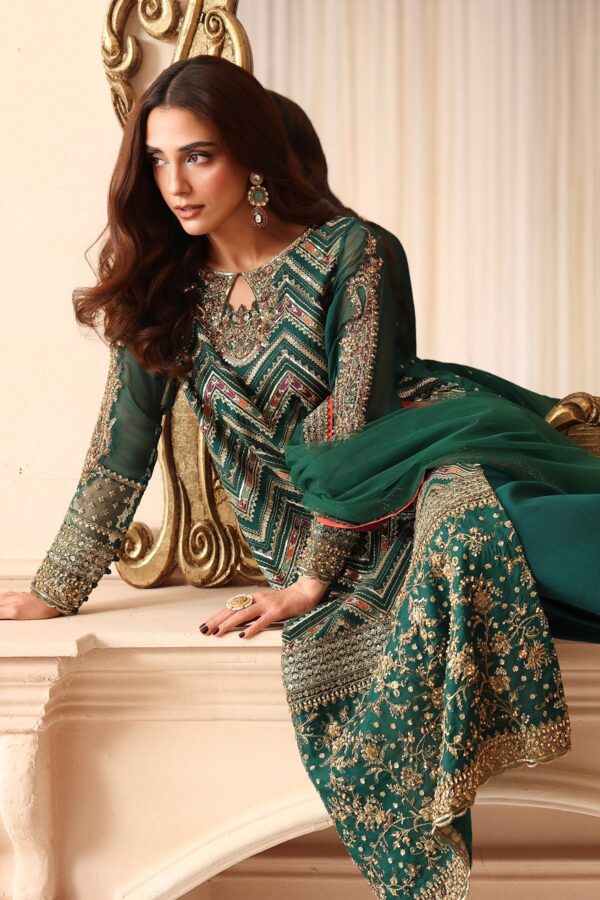 Embroidered Luxury Chiffon DJW6-07 | 2026 | Charizma