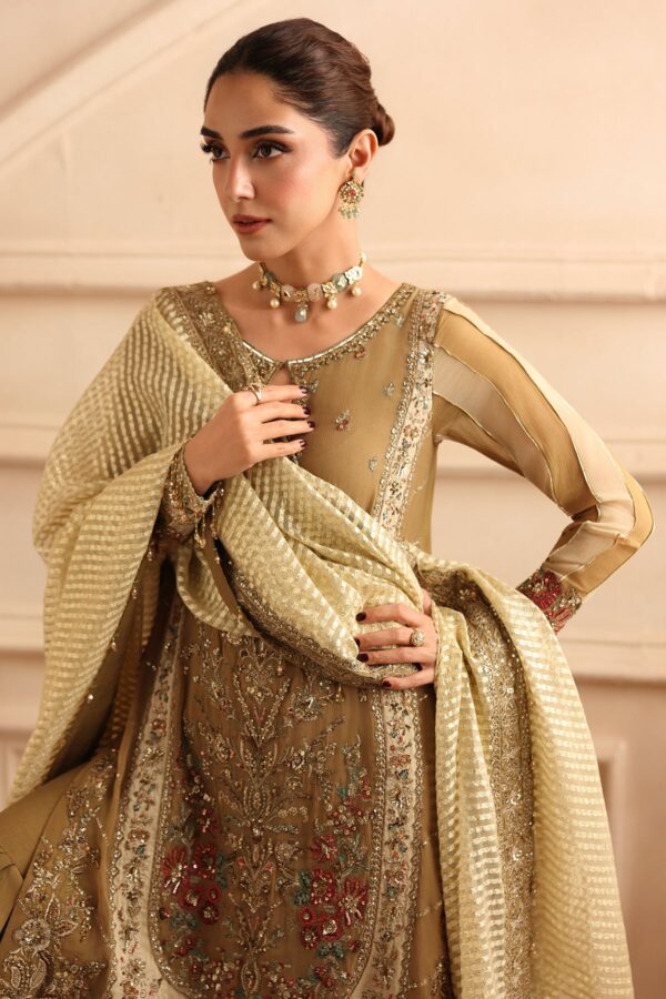 Embroidered Luxury Chiffon DJW6-06 | 2026 | Charizma