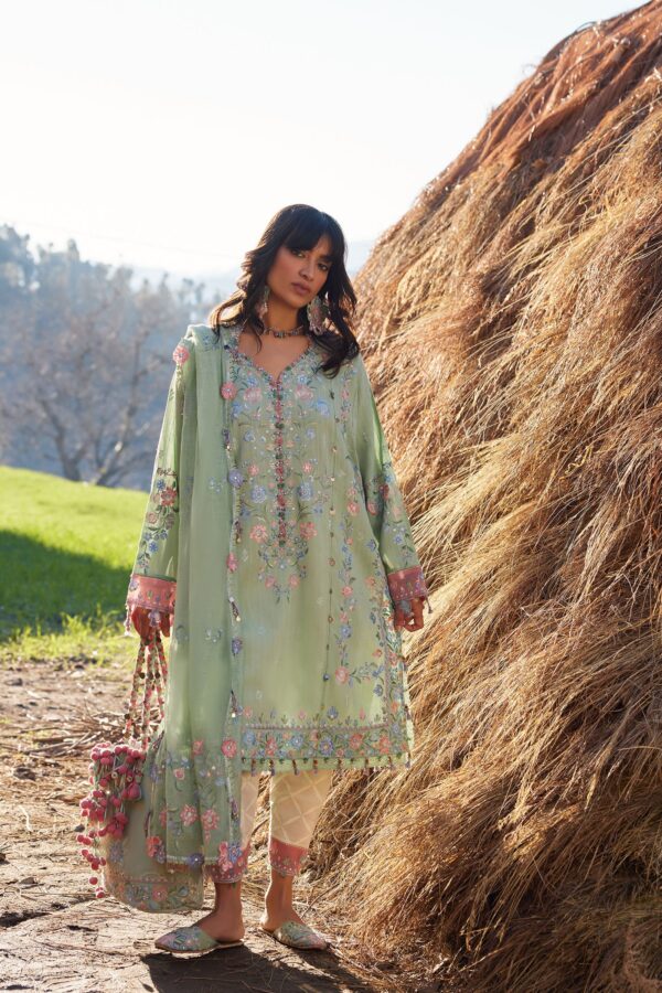 Summer Lawn | 2026 | ZL26-01 B | Zaha