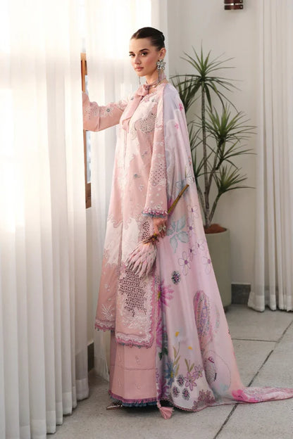 Chikankari  EID || CM-06 NOURA | Qalamkar