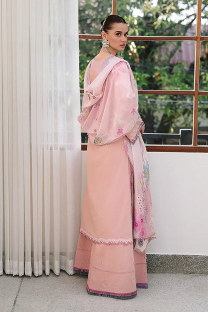Chikankari  EID || CM-06 NOURA | Qalamkar