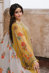 Luxury Chiffon Vol-II - 2026 - VSL6-10 | Charizma