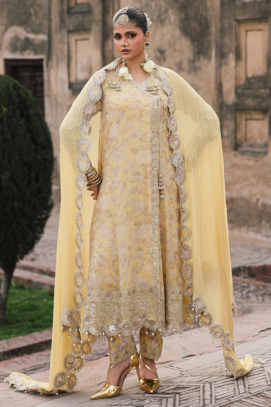Luxury Chiffon  Vol-II - 2026 -  VSL6-13 | Charizma