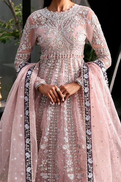 La Fuchsia'25 by Afrozeh - Zeal