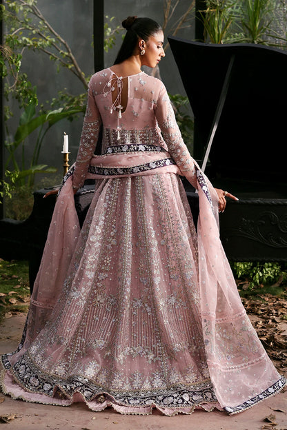 La Fuchsia'25 by Afrozeh - Zeal