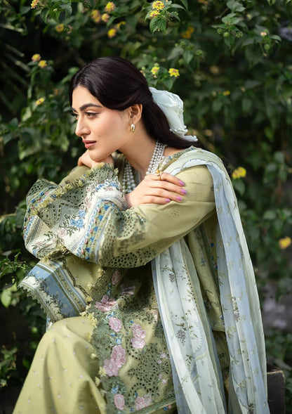 Elaf Chikankari - ERC-8B MENAH