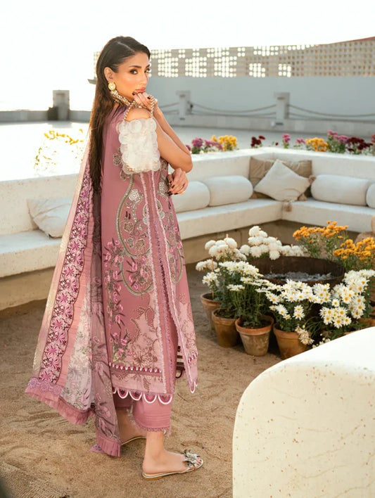 Jade Needle Wonder Lawn 2026 || 26-NW-20941