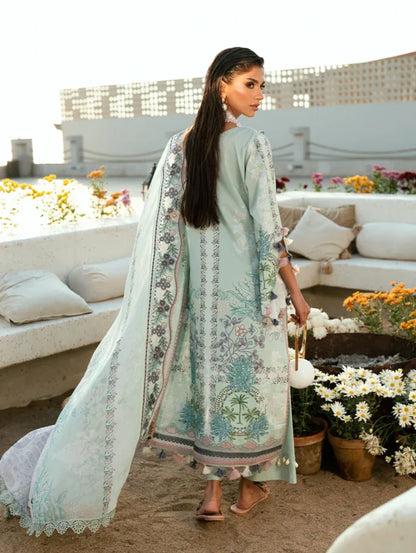 Jade Needle Wonder Lawn 2026 || 26-NW-20944
