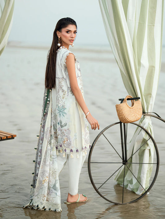 Jade Needle Wonder Lawn 2026 || 26-NW-20946