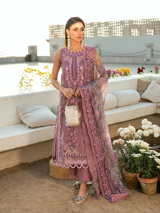 Jade Needle Wonder Lawn 2026 || 26-NW-20941