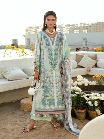 Jade Needle Wonder Lawn 2026 || 26-NW-20944