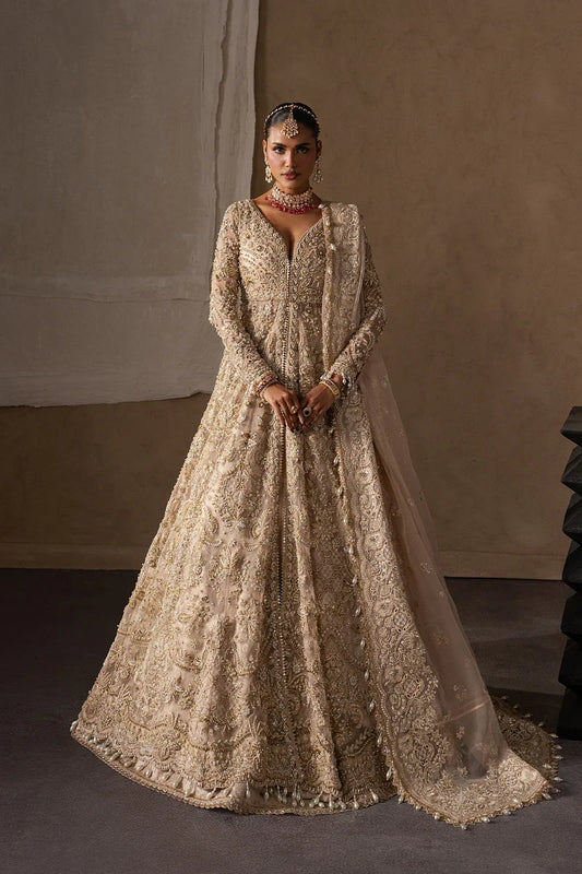 Afrozeh Brides Collection 2026 || Catarine