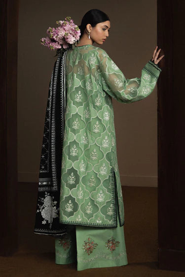Satori - Midoriya-D6 | 2026 | Zara Shahajahan