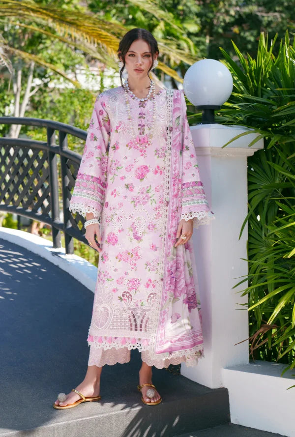 Printed Chikankari 2026 | Rumi | AJR