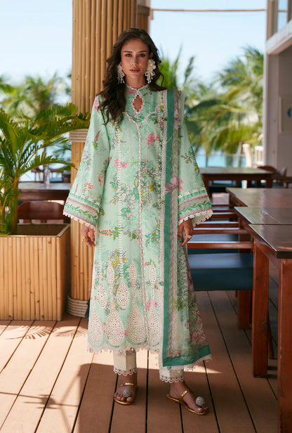 Printed Chikankari 2026 | Eliya | AJR