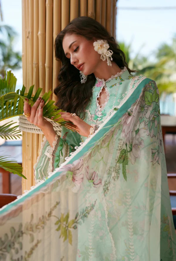 Printed Chikankari 2026 | Eliya | AJR