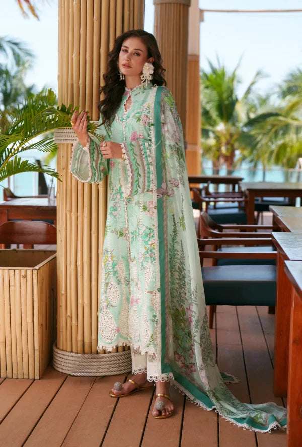 Printed Chikankari 2026 | Eliya | AJR