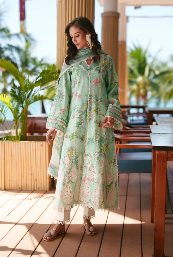 Printed Chikankari 2026 | Eliya | AJR