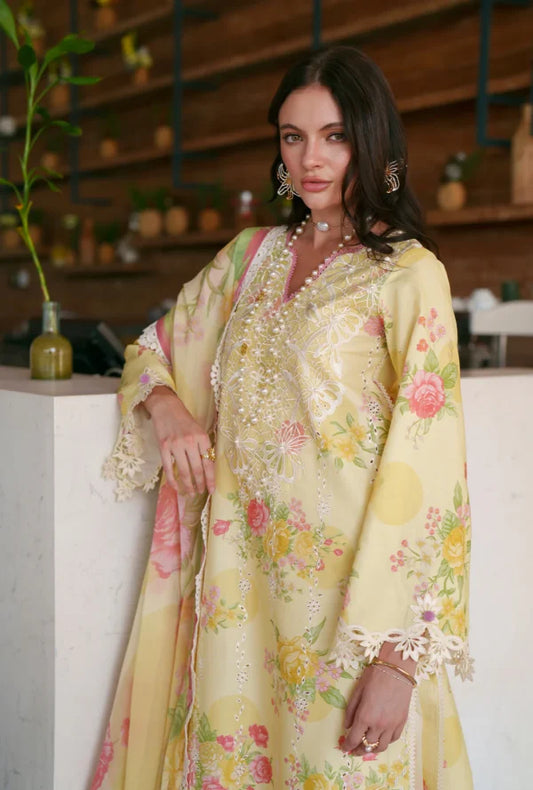 Printed Chikankari 2026 | Feya | AJR