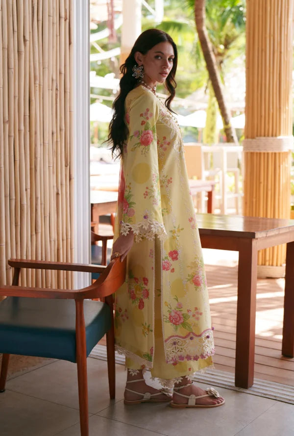 Printed Chikankari 2026 | Feya | AJR