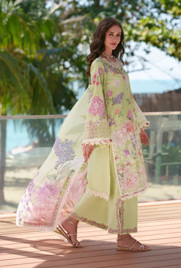 Printed Chikankari 2026 | Riwa | AJR