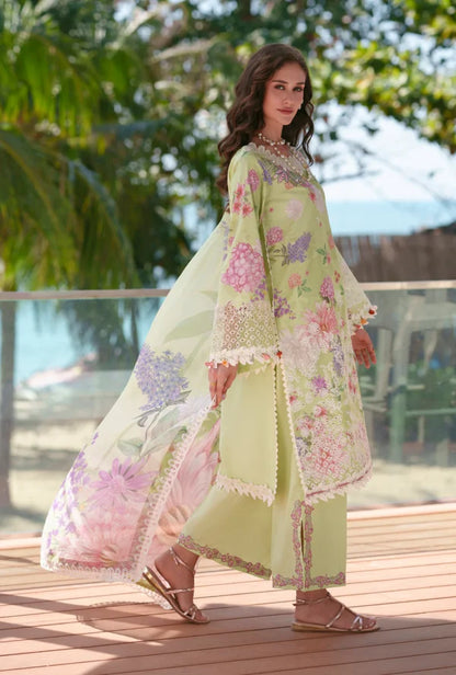 Printed Chikankari 2026 | Riwa | AJR