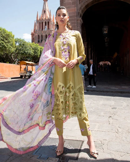 Odyssey Lawn 2026 | Aranza | Mushq