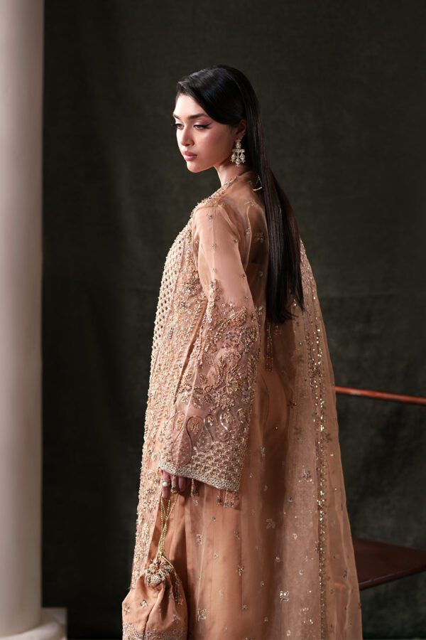 Starlit Jewels Hessonite | 2026 | Emaan Adeel