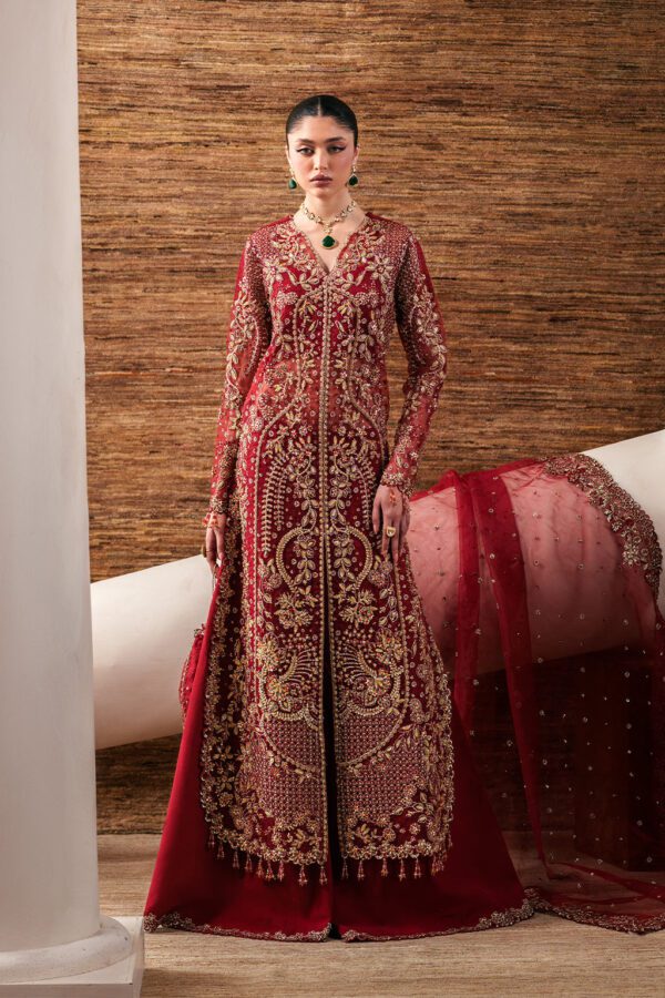 Starlit Jewels Ruby Veil | 2026 | Emaan Adeel