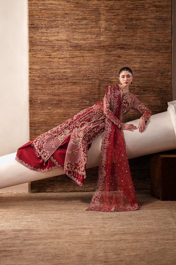 Starlit Jewels Ruby Veil | 2026 | Emaan Adeel