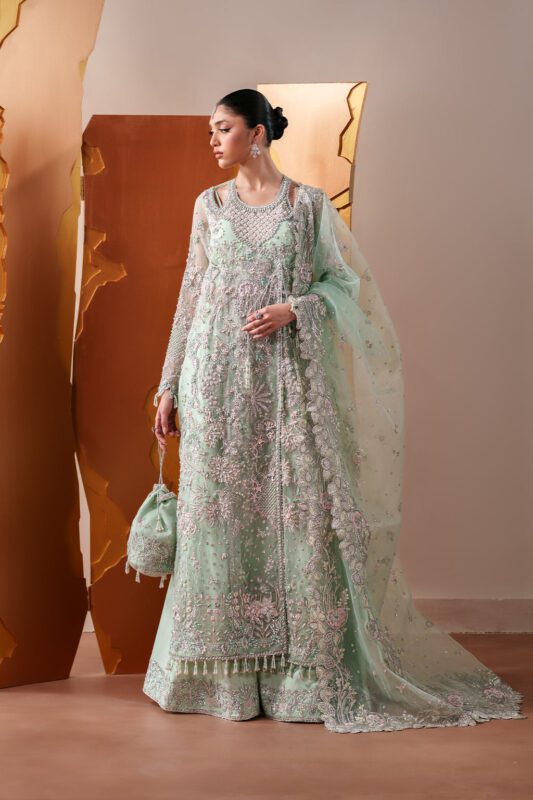 Starlit Jewels Moonstone Gleam | 2026 | Emaan Adeel