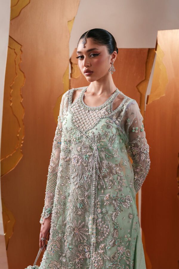 Starlit Jewels Moonstone Gleam | 2026 | Emaan Adeel