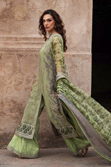 Luxury Chiffon Vol-II - 2026 - VSL6-06 | Charizma