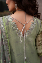 Luxury Chiffon Vol-II - 2026 - VSL6-06 | Charizma