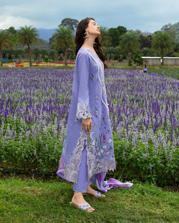The Secret Garden Hemline 2026 | Daisy Reverie | Mushq