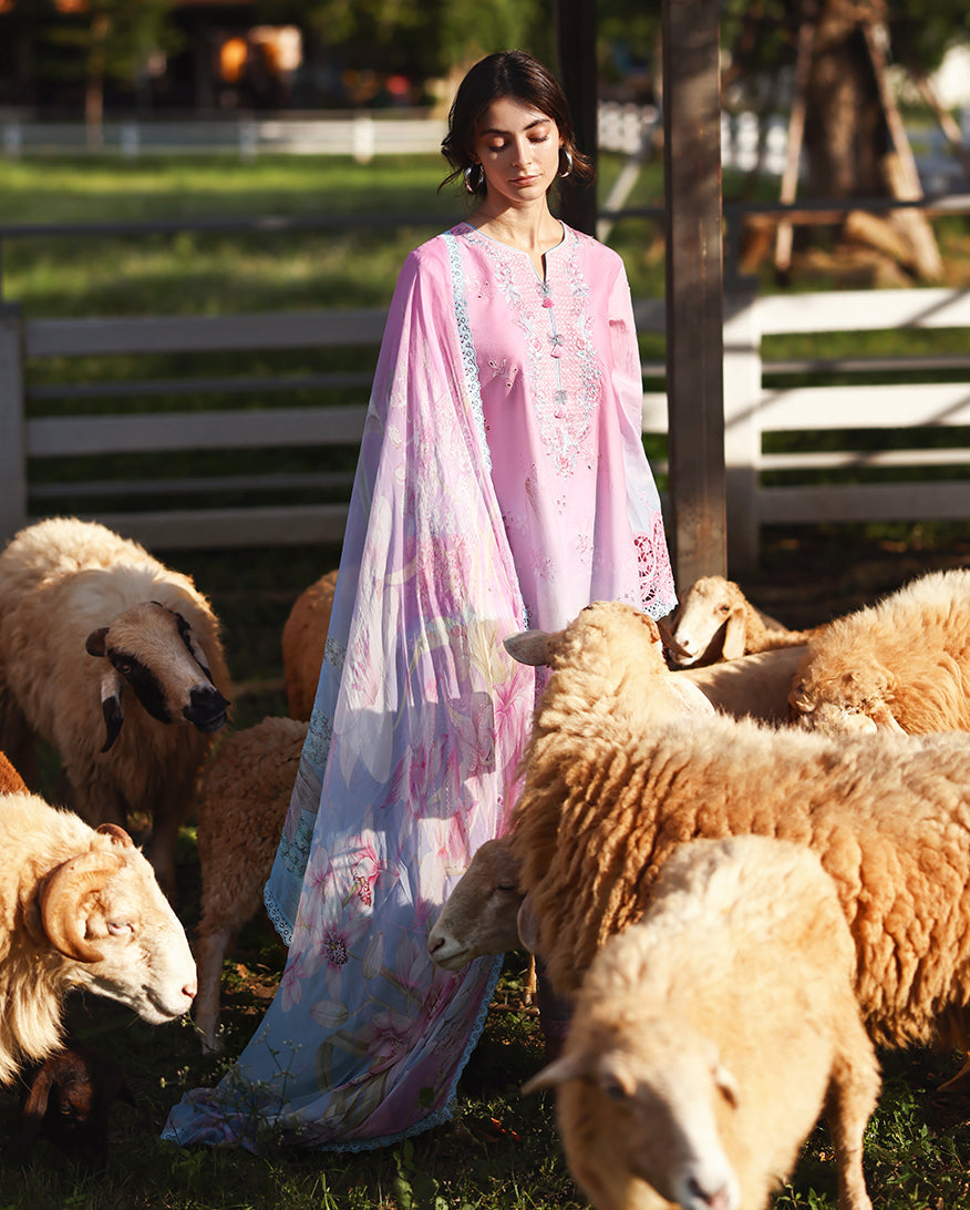 Solace Ombre Chikankari | Faint Blossom | 2026 | Mushq