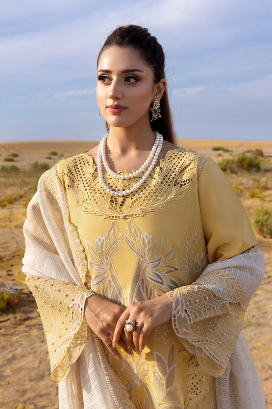 Premium Summer Lawn 2026 | D-06 HOORAIN |  Rang Rasiya