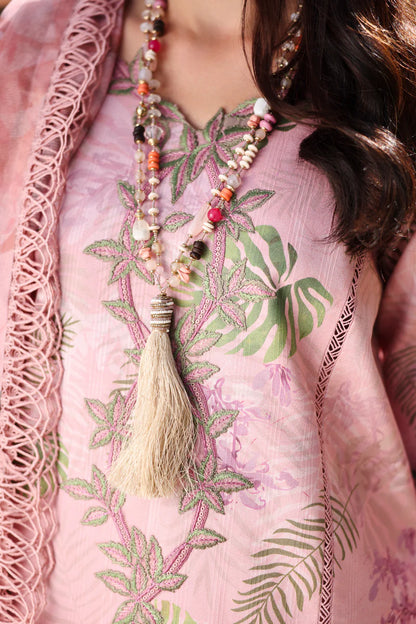 Rang Rasiya Lifestyle Summer 2026 - Ivy