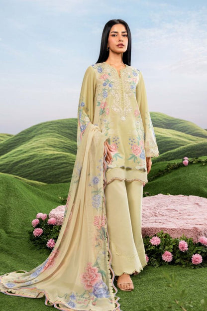 M Basics Dreamscape Eid 2 | 2026 |  011A | Maria. B.