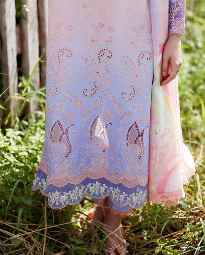 Solace Ombre Chikankari | Morning Veil | 2026 | Mushq