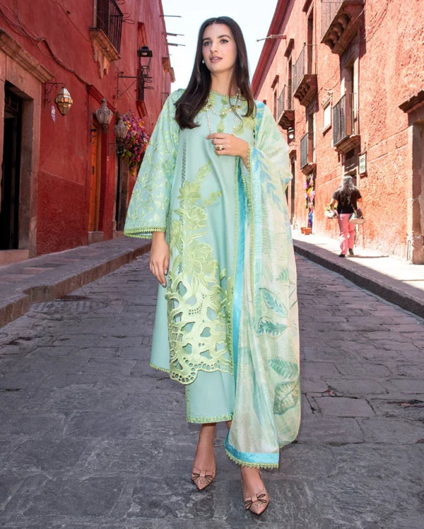 Odyssey Lawn 2026 | Paloma | Mushq