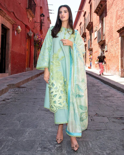 Odyssey Lawn 2026 | Paloma | Mushq
