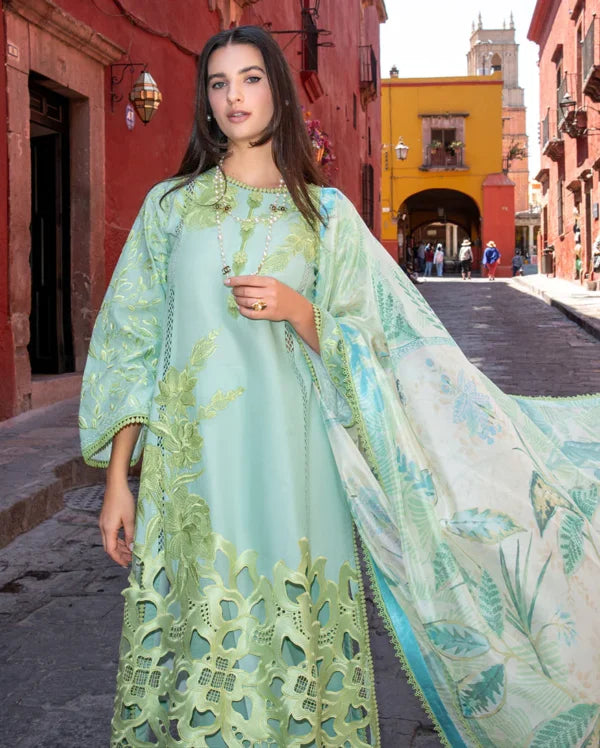 Odyssey Lawn 2026 | Paloma | Mushq