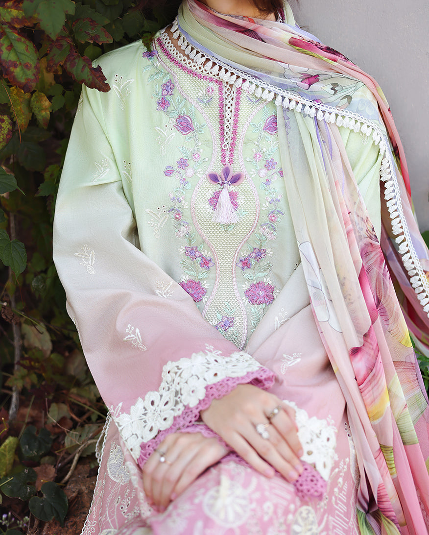 Solace Ombre Chikankari | Petal Pull | 2026 | Mushq